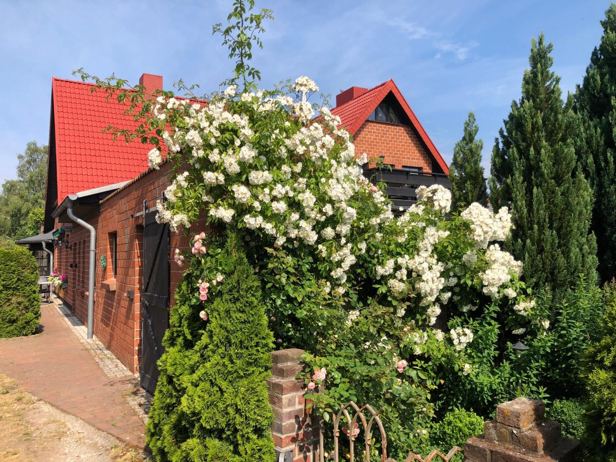 Landhaus Schlunt Wustrow  Esterno foto